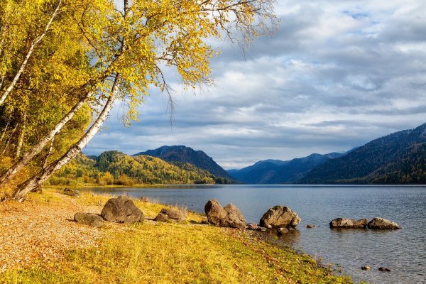 Природа Алтая Телецкое озеро