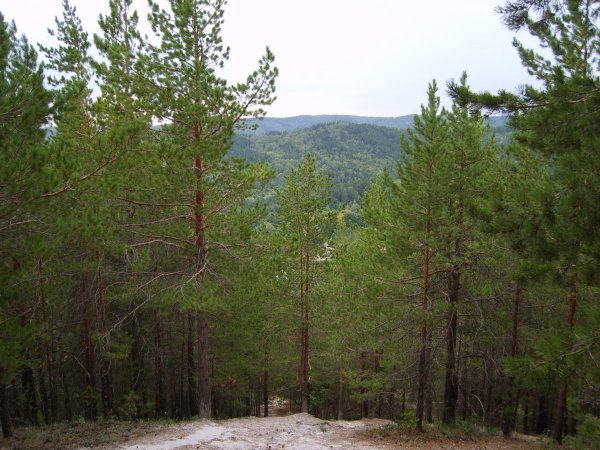 Хвалынский национальный парк Саратовская область