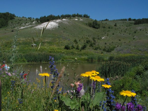 Растения Хвалынского национального парка