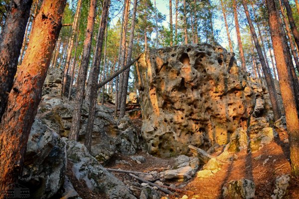 Национальный парк Хвалынский Заповедный край