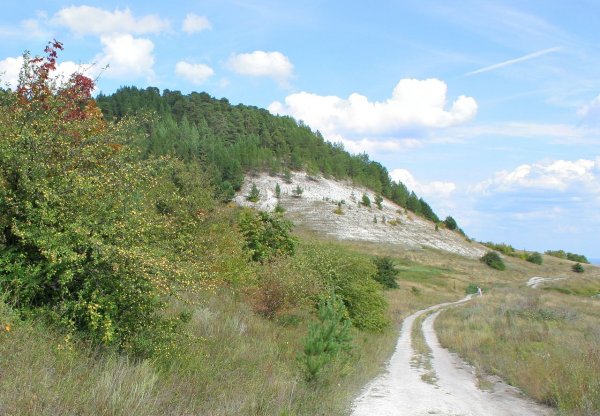 Хвалынский национальный парк
