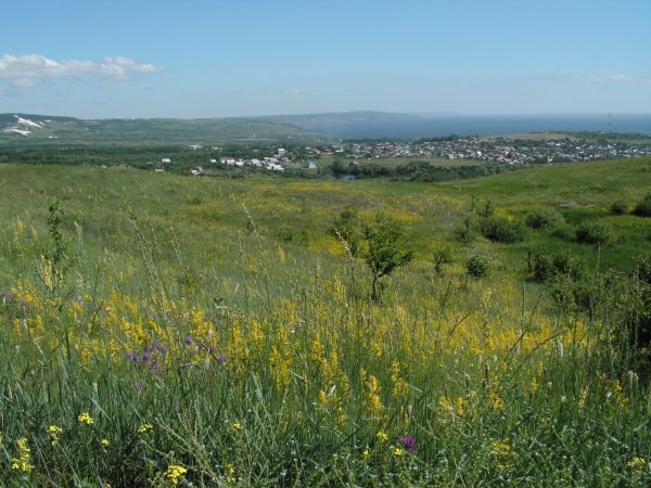 Село Подлесное Саратовская область Хвалынский район