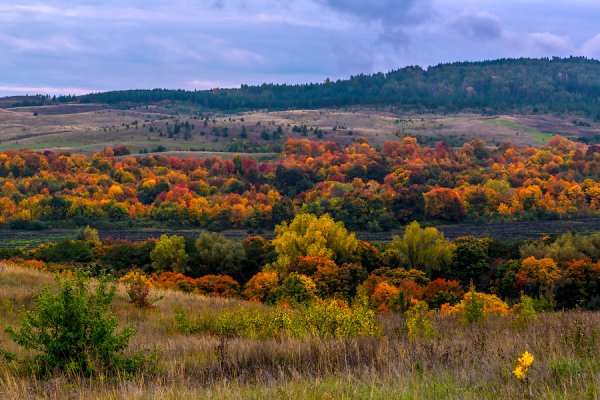 Хвалынский национальный парк Саратовская область