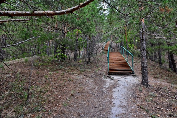 Хвалынский национальный парк