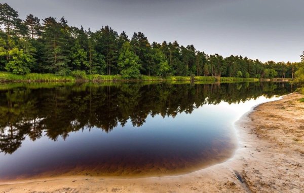Рязанская область, Окский заповедник, река пра.
