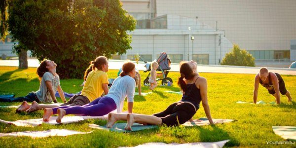 Занятия йогой в парке