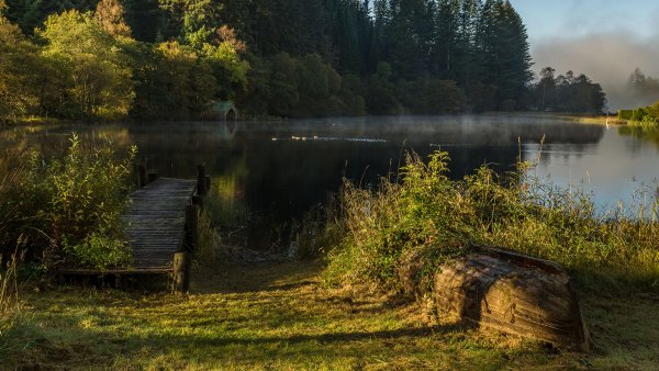 Лесное озеро мостки