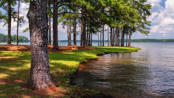 Озеро Селигер Сосновый Бор