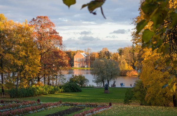 Екатерининский парк Пушкин осенью