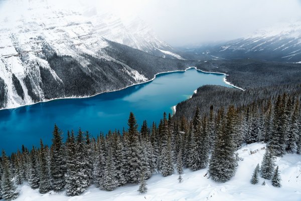 Озеро Пейто Канада