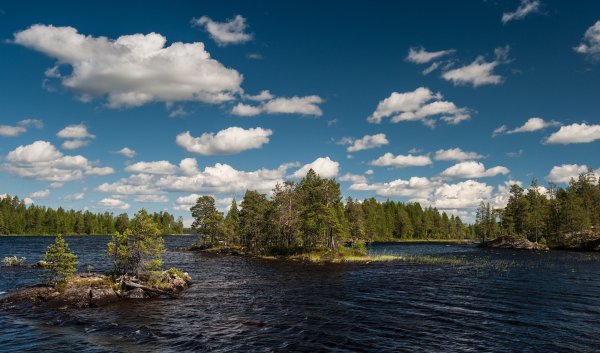 Озеро Ковдозеро Карелия