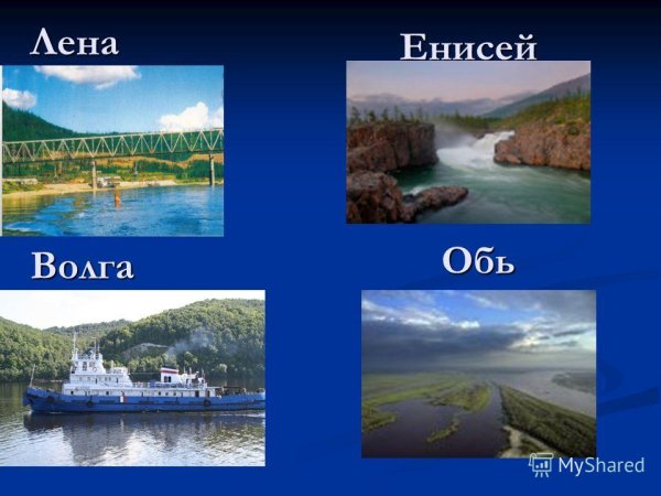 Реки Лена Енисей Волга Обь