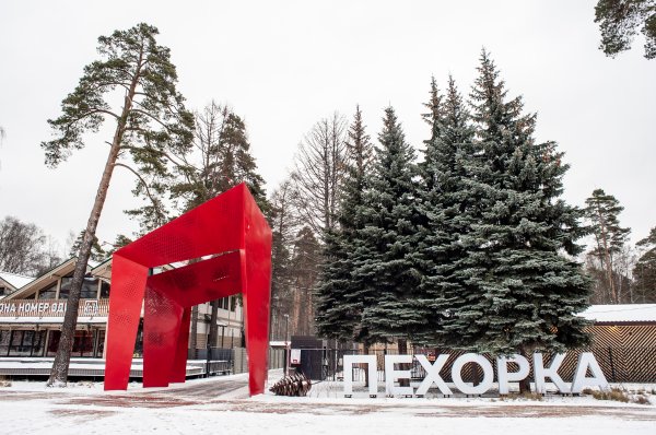 Балашиха парк Пехорка зима