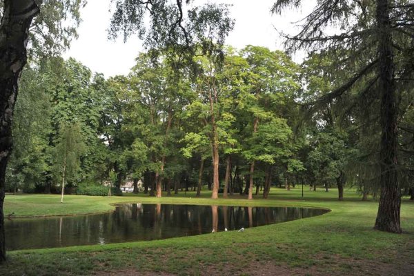 Балашихинский лесопарк