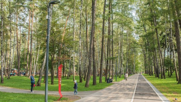 Балашиха Березовая роща