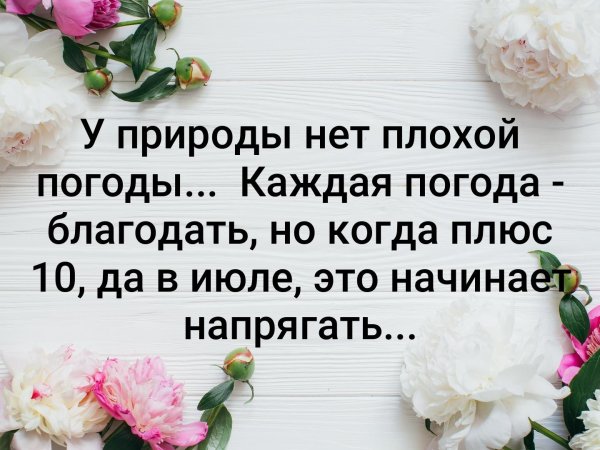 Каждая погода Благодать картинки