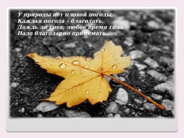 Открытки у природы нет плохой