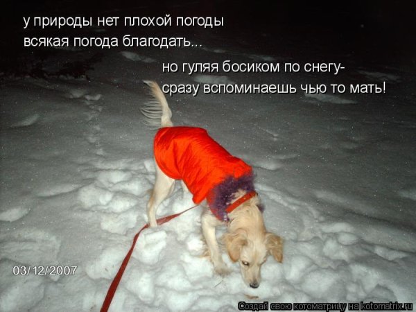 У погоды нет плохой погоды