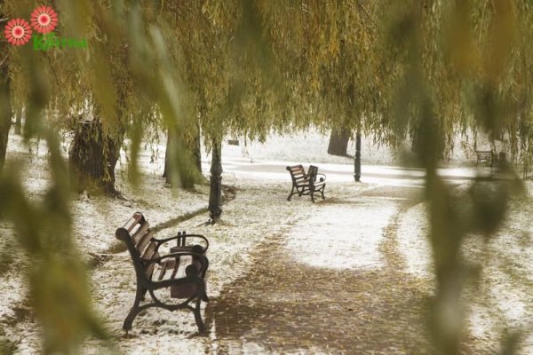 Над пожелтевшей травушкой над рощей тополей