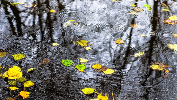 Картинки осень всякая погода Благодать