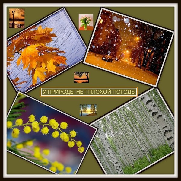 У природы нет плохой погоды