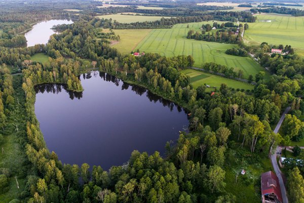 Эстония ландшафт