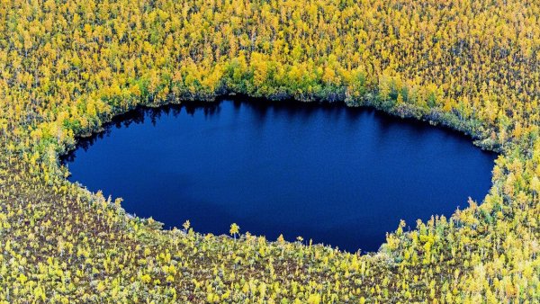 Круглое озеро Брянск