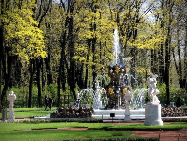 Летний сад Питер