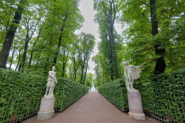 Летний сад СПБ
