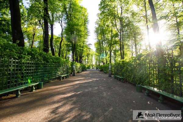 Тенистые аллеи летнего сада СПБ
