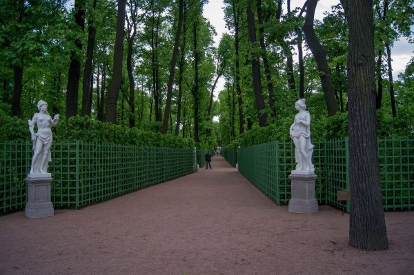 Боскеты летнего сада