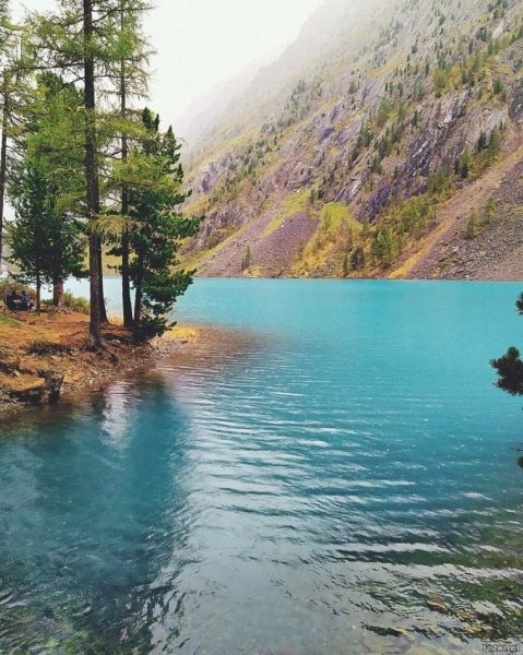 Республика Алтай, озеро нижнее Шавлинское