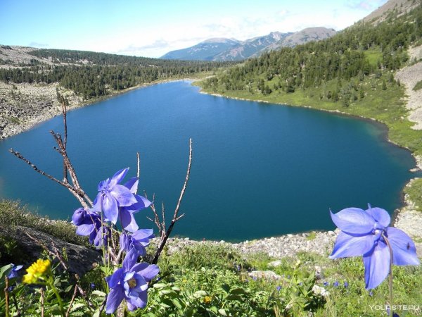 Озеро Бащелак Чарышский район Алтайский край