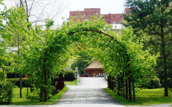 Парк «имени с.м. Кирова»: Новосибирск