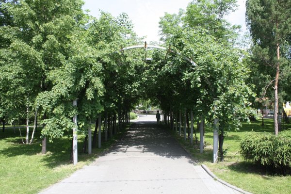 Сквер имени Кирова Новосибирск