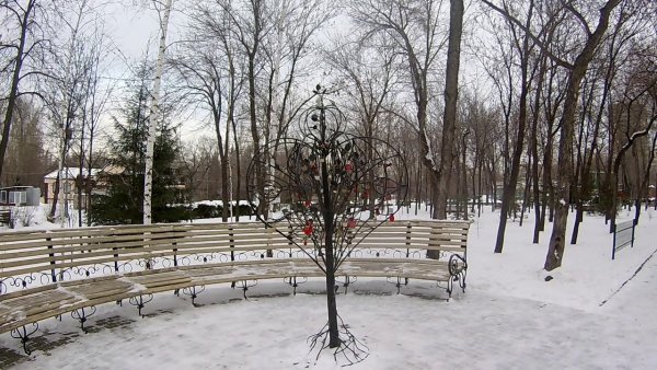 Парк сад Кирова Новосибирск