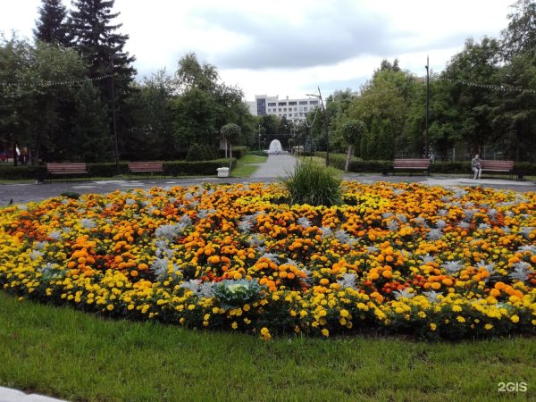 Сад Кирова Новосибирск