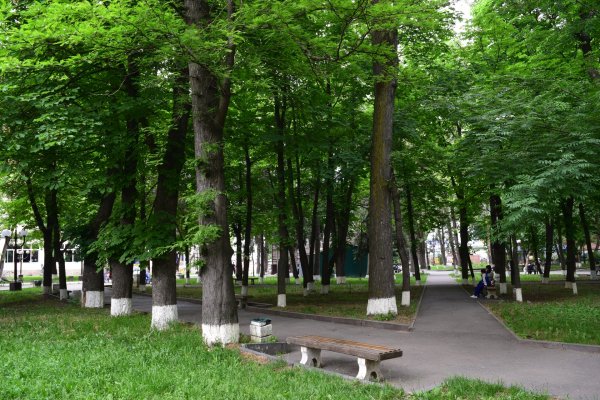 Кировский парк Пятигорск
