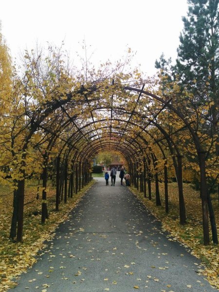 Сад имени Кирова Новосибирск