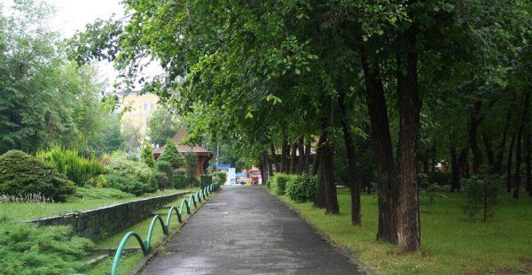 Про Кировский парк Юрга аллеи