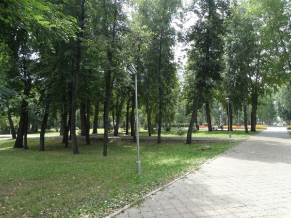 Рубцовск парк