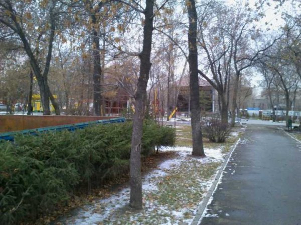 Парк Кирова Новосибирск осень