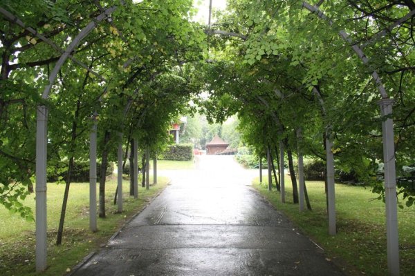 Сад им Кирова Новосибирск