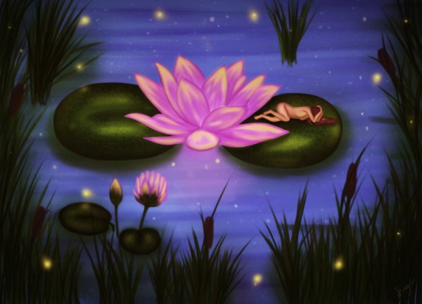 Сказочные кувшинки