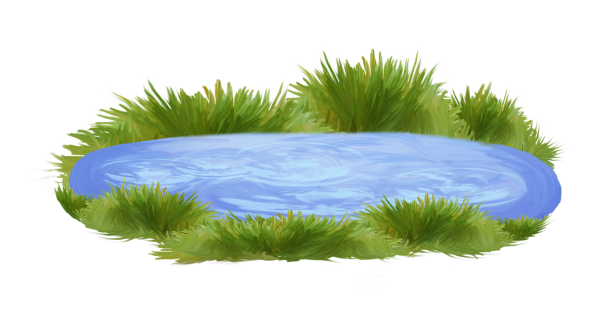 Пруд на прозрачном фоне