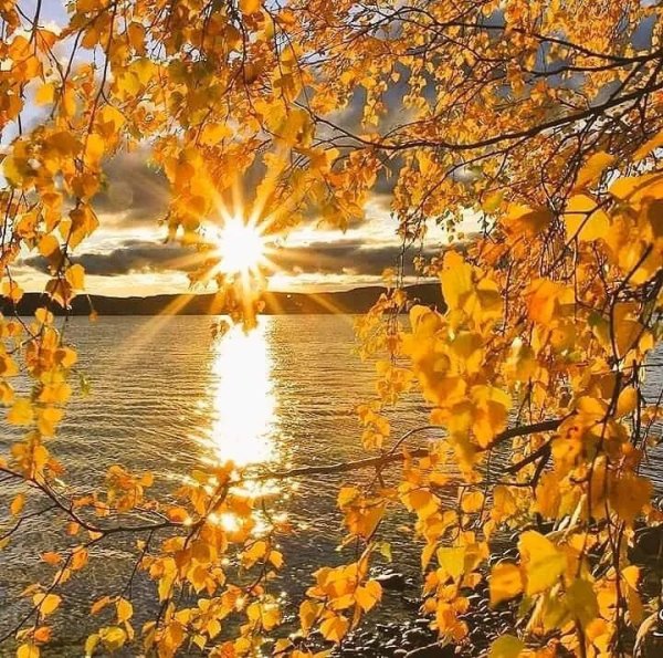 Осеннее утро