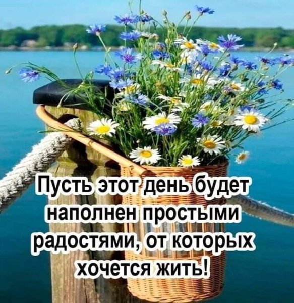 Добрые пожелания на каждый день