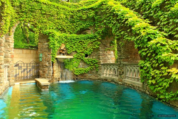 Кабардинка Краснодарский край старый парк