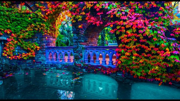 Старый парк Кабардинка осень