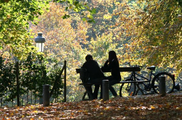 Встреча в парке